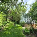 Garten (1)