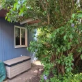 Garten (2)