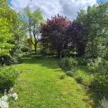 Garten (3)