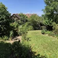 Kellerbuck (1)